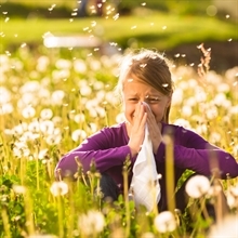 Ribes, perilla, camomilla: rimedi naturali contro allergie primavera