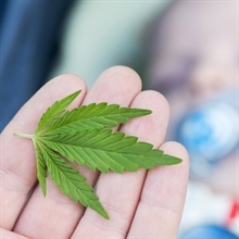 Ricerca, cannabis in gravidanza espone i bambini a effetti psicotici