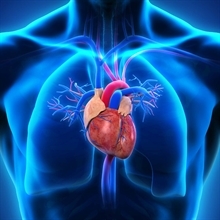 Stenosi aortica, procedura mininvasiva TaVi anche per over 75