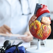 Ipercolesterolemia e malattie cardiovascolari: un legame ad alto rischio